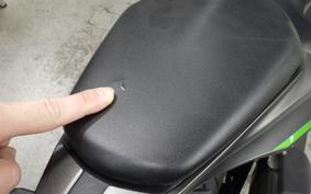 KAWASAKI ZX-4R SE 2023 ZX400P