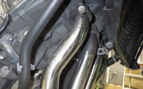 YAMAHA FZ1 FAZER 2014 RN21J