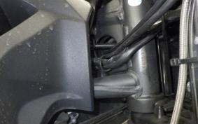 KAWASAKI Z250 2025 ER250C