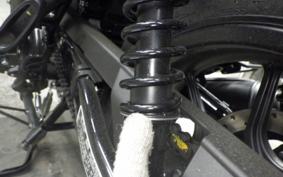 OTHER +ENFIELD HUNTER350 2025