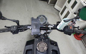 HUSQVARNA SVARTPILEN 401 2020