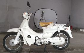 HONDA LITTLE CUB AA01