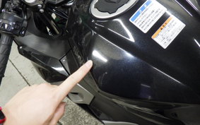 KAWASAKI NINJA 250 2 2026 EX250P