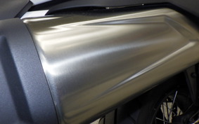 TRIUMPH TIGER 900 RALLY PRO 2022