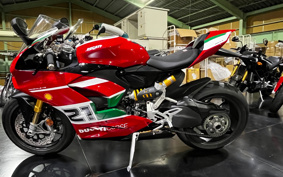 DUCATI  DUCATI PANIGA-REV2 BAYLISS  2022 1H00