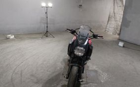 DUCATI DIAVEL CARBON G100AB