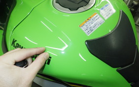 KAWASAKI ZX 10 NINJA ABS 2024 ZXT02L