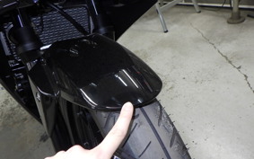 SUZUKI GSX250RA 2021