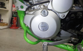 KAWASAKI KLX250 Gen.2 LX250S