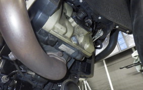 DUCATI MONSTER 821 2020