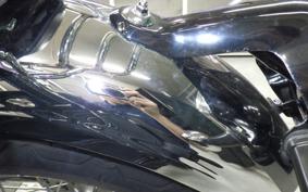 KAWASAKI W800 2023 EJ800E