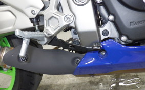 KAWASAKI ZX-4RR 2024 ZX400P