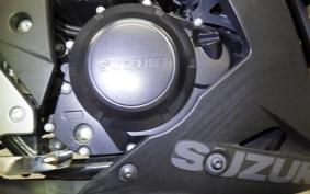 SUZUKI GSX250 R