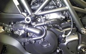 DUCATI ディアVERDEィーゼル 2019