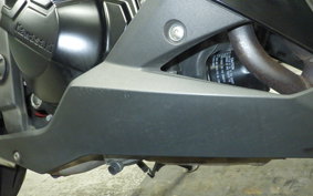 KAWASAKI Z250 2021 ER250C