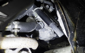 HONDA BENLY 50 AA05