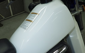 SUZUKI TS185 2011