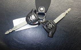 SUZUKI GEMMA 250 CJ47A