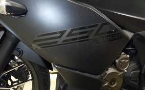 SUZUKI GIXXER 250 SF 2002