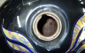 HONDA REBEL 250 MC13