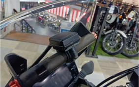 SUZUKI STROM 250 DS11A