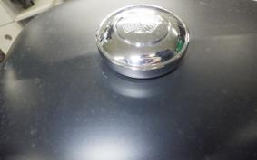 HARLEY XL883N 2016