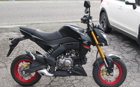 KAWASAKI Z125 PRO BR125H