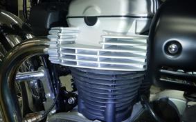 KAWASAKI W800 2021 EJ800B