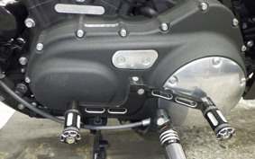 HARLEY XL883N 2015