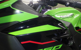 KAWASAKI NINJA 250 2 2020 EX250P