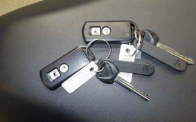 HONDA FORZA 250 MF15