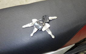 HONDA XR100 MOTARD 1999 HD13