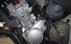 HONDA HORNET 250 2012 MC31