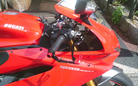 DUCATI 1299PANIGA-RES 2015 ZDMH905JAFB