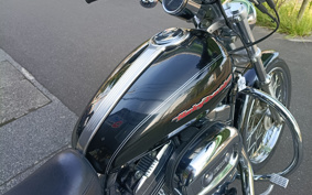 HARLEY XL1200C 2006 CGP