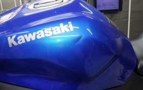 KAWASAKI ZX-4R SE 2024 ZX400P