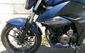 SUZUKI JIKUSA-250 ED22Y