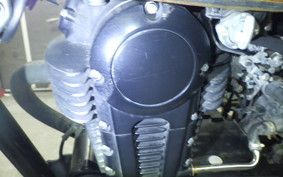KAWASAKI 250TR 2024 BJ250F