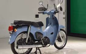 HONDA C110 SUPER CUB 2013 JA44