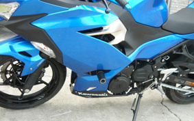 KAWASAKI NINJA 250 ABS EX250P