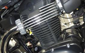 KAWASAKI W800 CAFE 2020 EJ800B