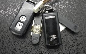 HONDA FORZA 250 MF13