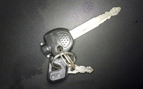 YAMAHA MAXAM 250 SG17J