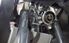 YAMAHA YZF-R25 RG43J