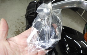 HARLEY FXST1750 2020