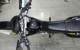 SUZUKI 250SB 2008 LX250L