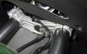 KAWASAKI NINJA 1000SX 2024 ZXT02K