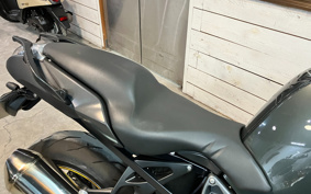 BMW K1300R 2009 0518