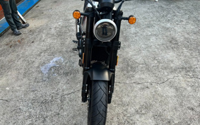 HARLEY  HARLEY X500 2024 W5B