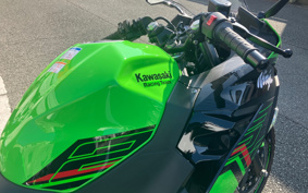 KAWASAKI NINJA 250 KRT ED EX250Y